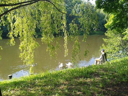 Летний ливень на пруду