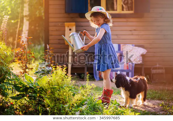 Январские сны