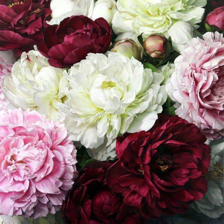 Пришла пора цветения пионов