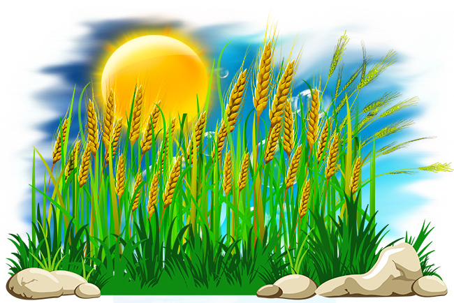 Бестолковщина! Из цикла Разговор с Есениным...