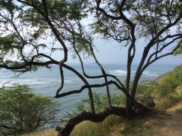 неоконченное