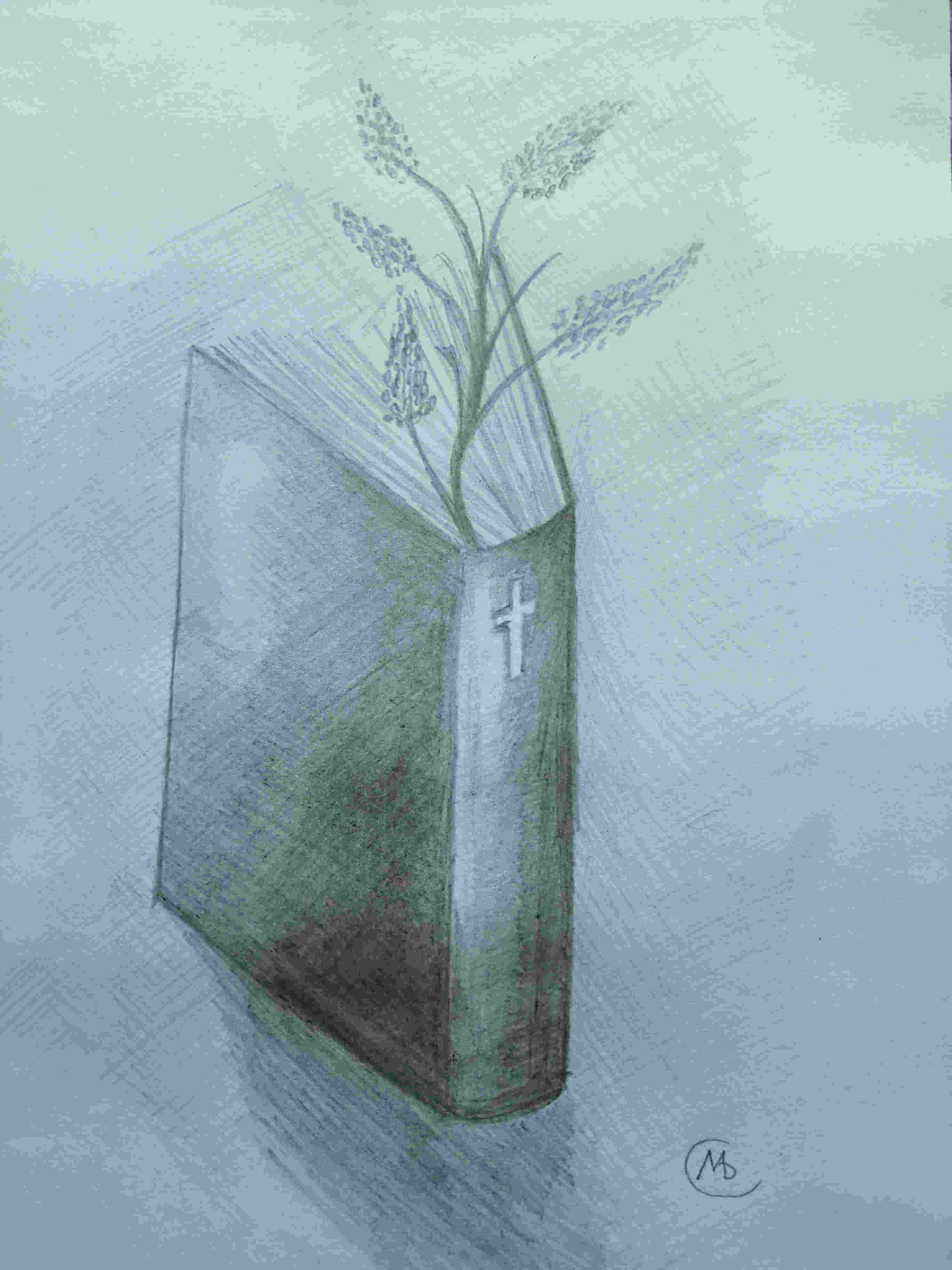 Как отличить христианина от сектанта