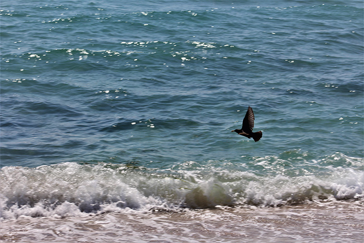 Крым. Посёлок Мирный