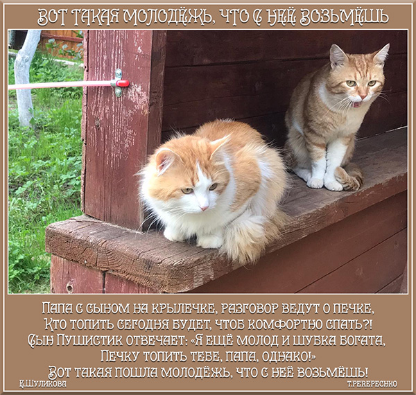 Вот такая молодёжь, что с неё возьмёшь