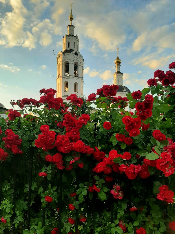 Разогнавшееся лето