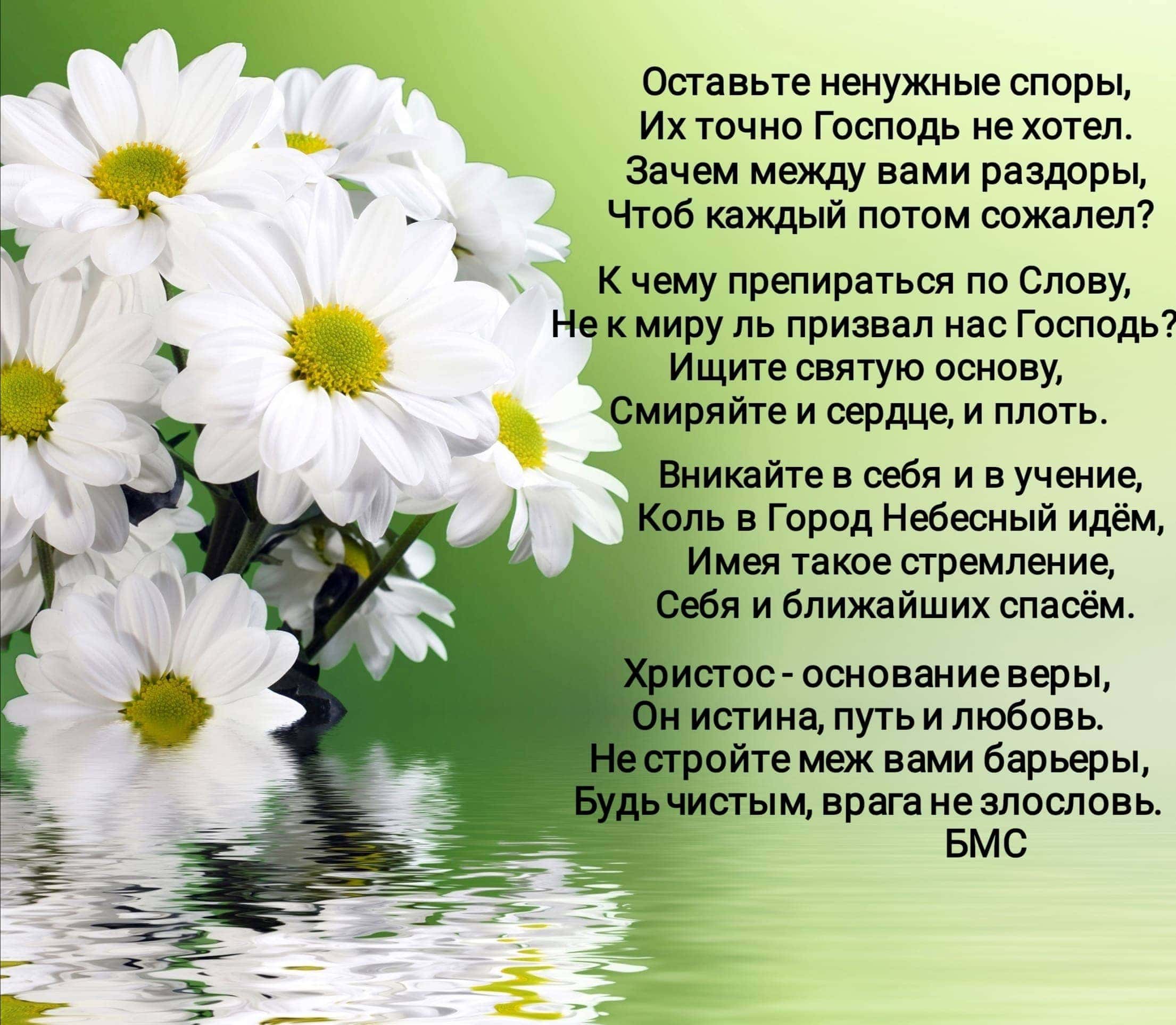 Оставьте ненужные споры