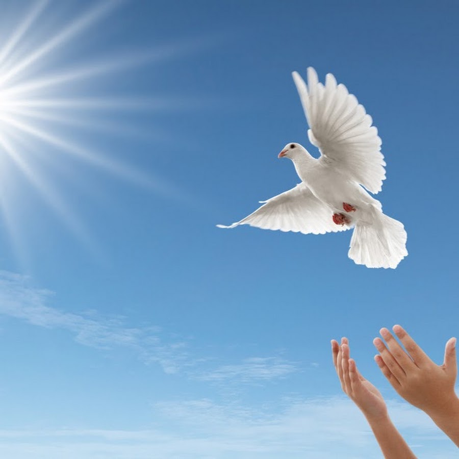 Прощальная песня