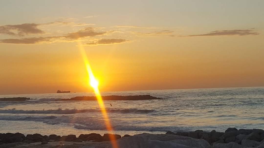 А ты, попробуй