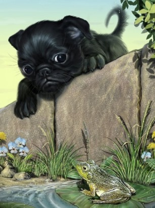 Лягушкам в огороде