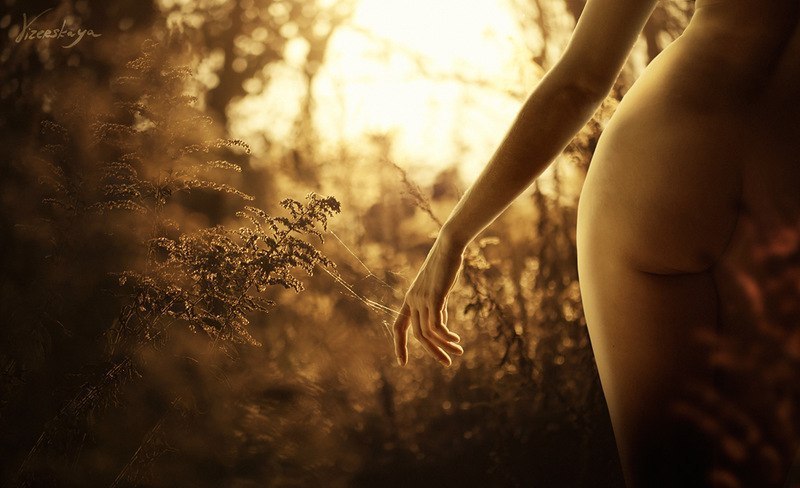 В ногу со счастьем