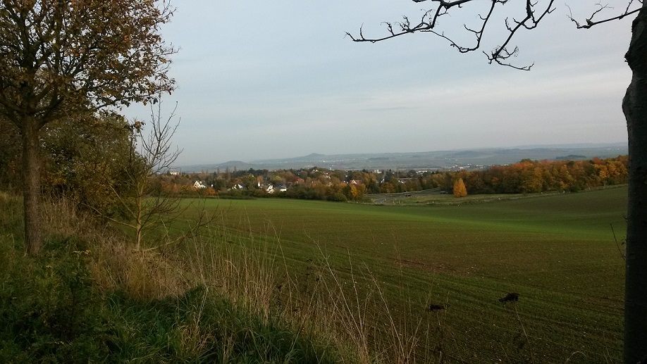 Иной земли обман, иллюзия пространства