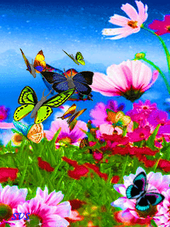 Солнце вахту