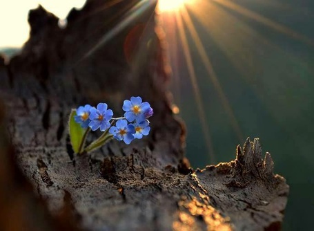 Ждать вечность