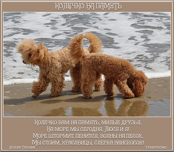 Колечко на память