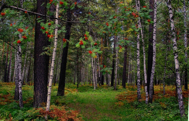 Нет для меня прекраснее России...