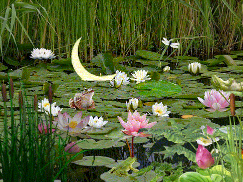 Случай на болоте