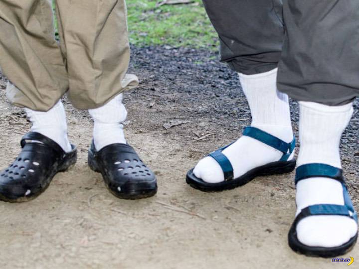 Хаямо-Ермаковщина - 021 Носочно-сандальная дилемма