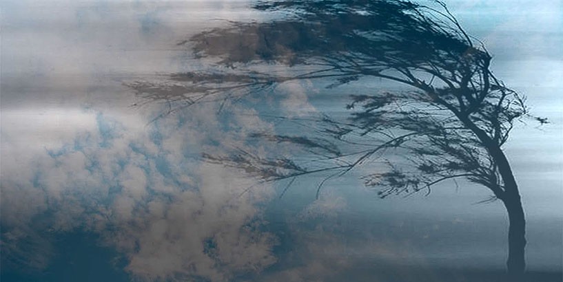 Ветер-мечта!