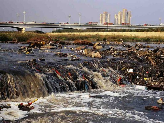 Экологическая коррупция на море