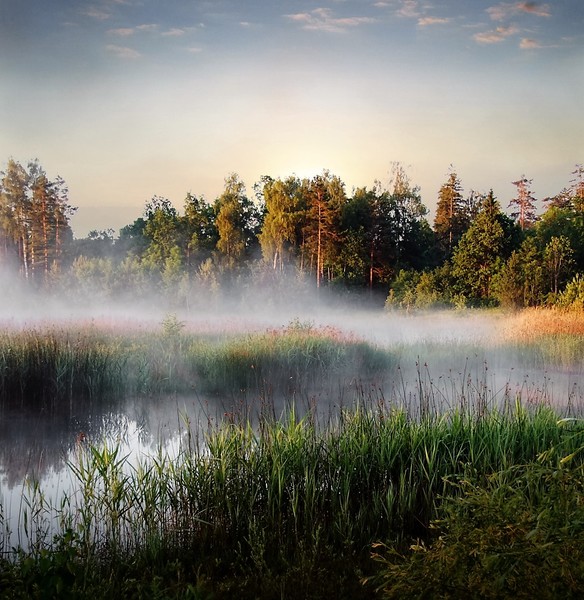 Цыкл, как цепочка