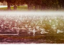 Серые струны дождя