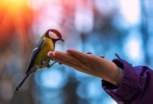 Злость не добро!