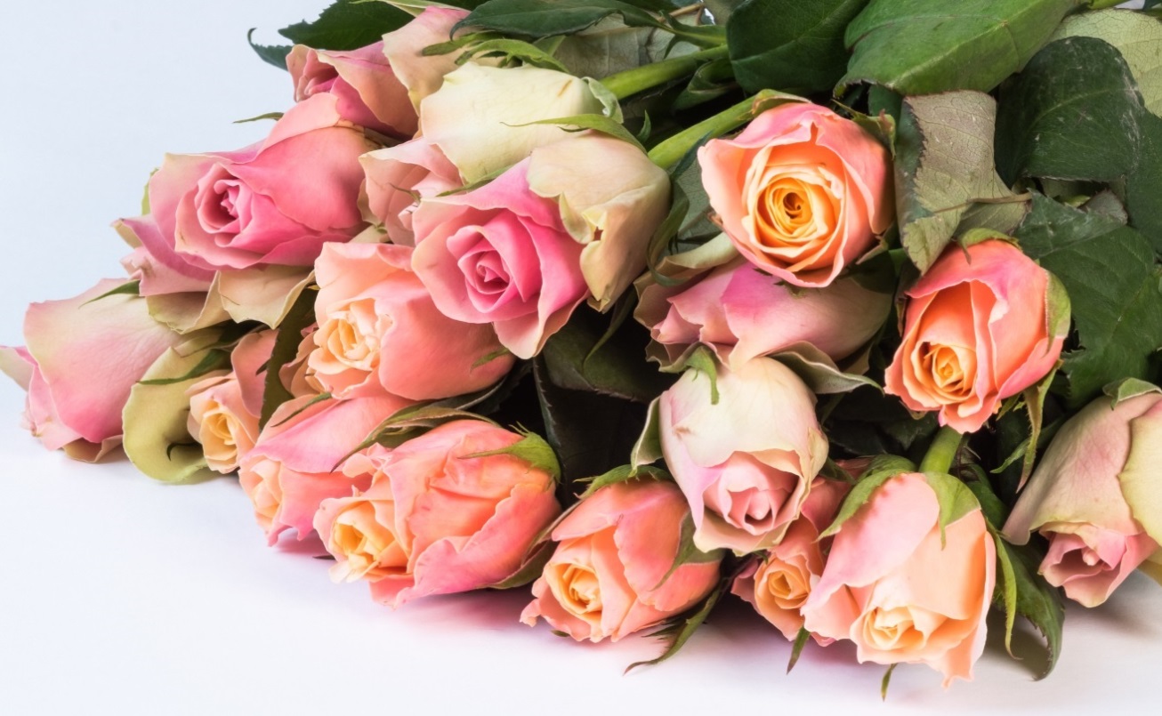 Почему ты мне письма не пишешь?