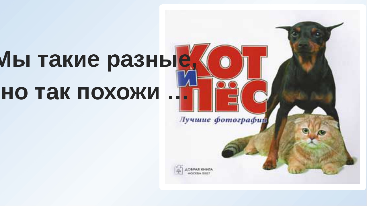 все мы разные. мы такие разные картинки. такие разные но. мы такие разные минус. тема мы разные но мы вместе.