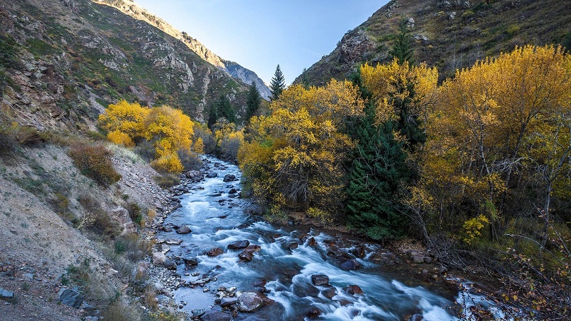 Река Тургень