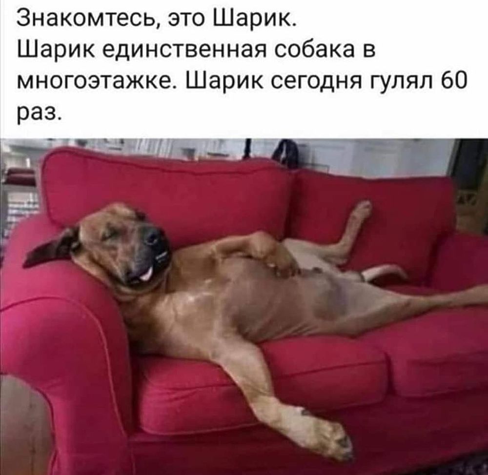 Коронавирус