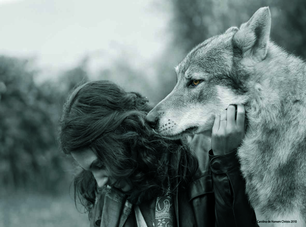 Обнимаю волка. Девушка с волком. Волчица и девушка. Волк обнимает девушку. Красивая девушка с волком.