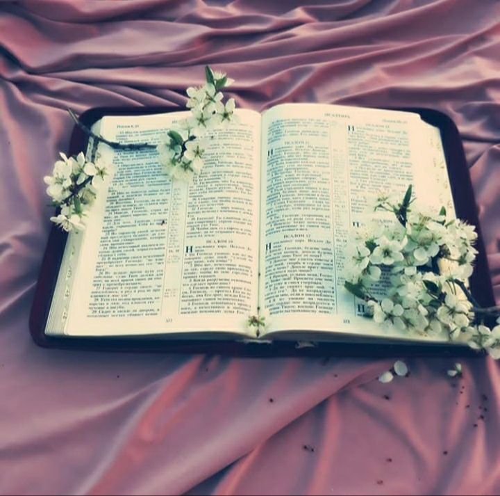 Избавь меня от чувств