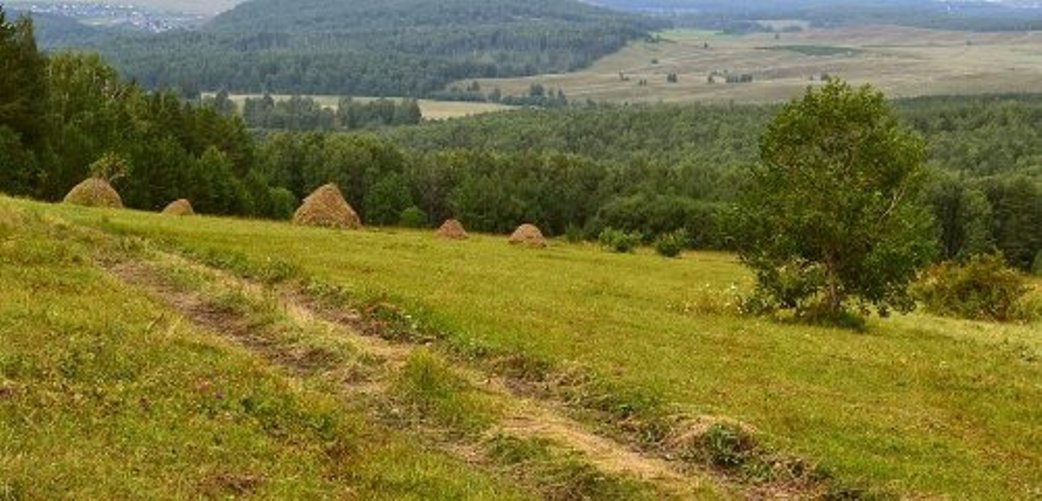 Июльский день