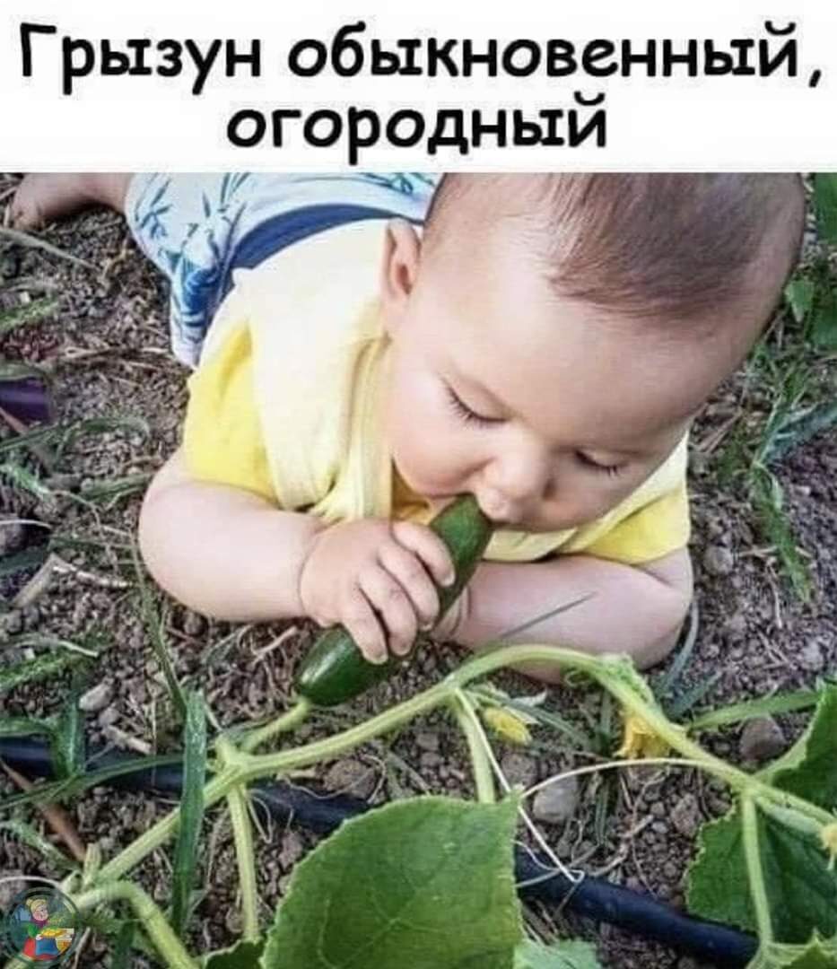 Момент истины на природе