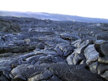 Земная слава?