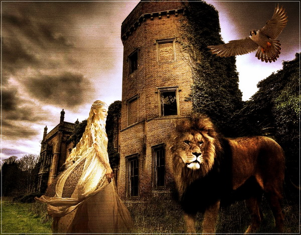 В волшебном из миров