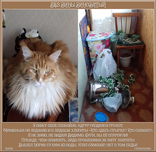 Без вины виноватый