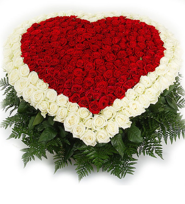 Любимые цветы