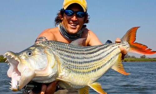 Рыбa -Голиаф