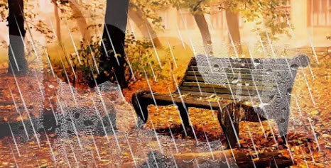 Наша скамейка