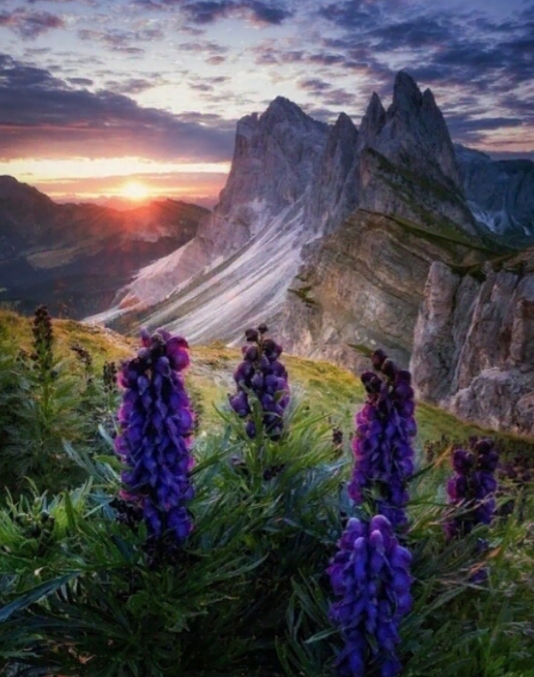 Безответная любовь