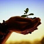 Посмотри на линии ладони...