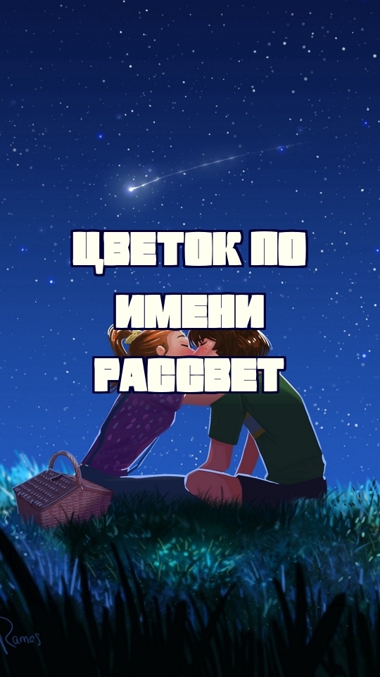 Цветок по имени Рассвет