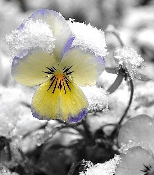 Кто твой Господь? - 19