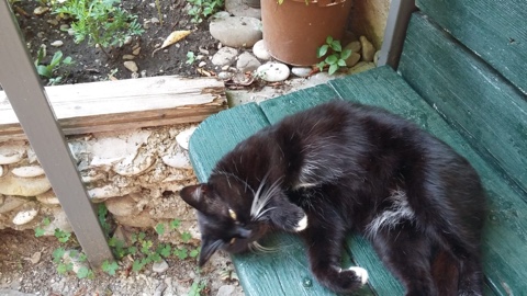 Мастер-класс