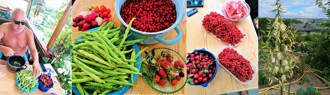 Zum naechsten Schritt