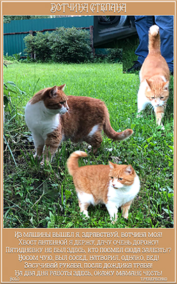 Вотчина Степана