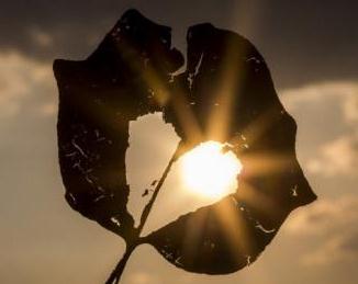 И снова ностальгия