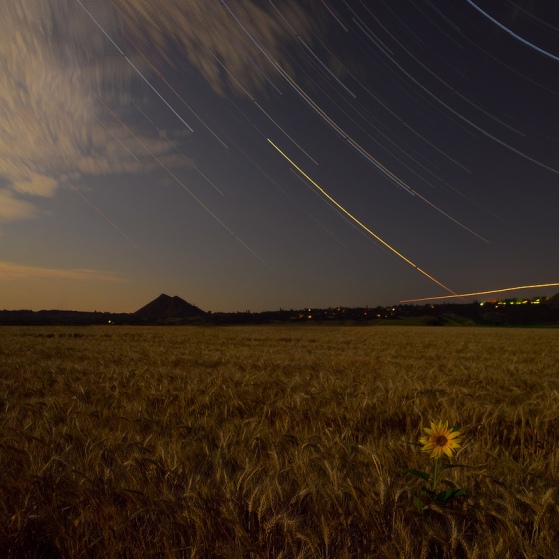 Горчичная ночь