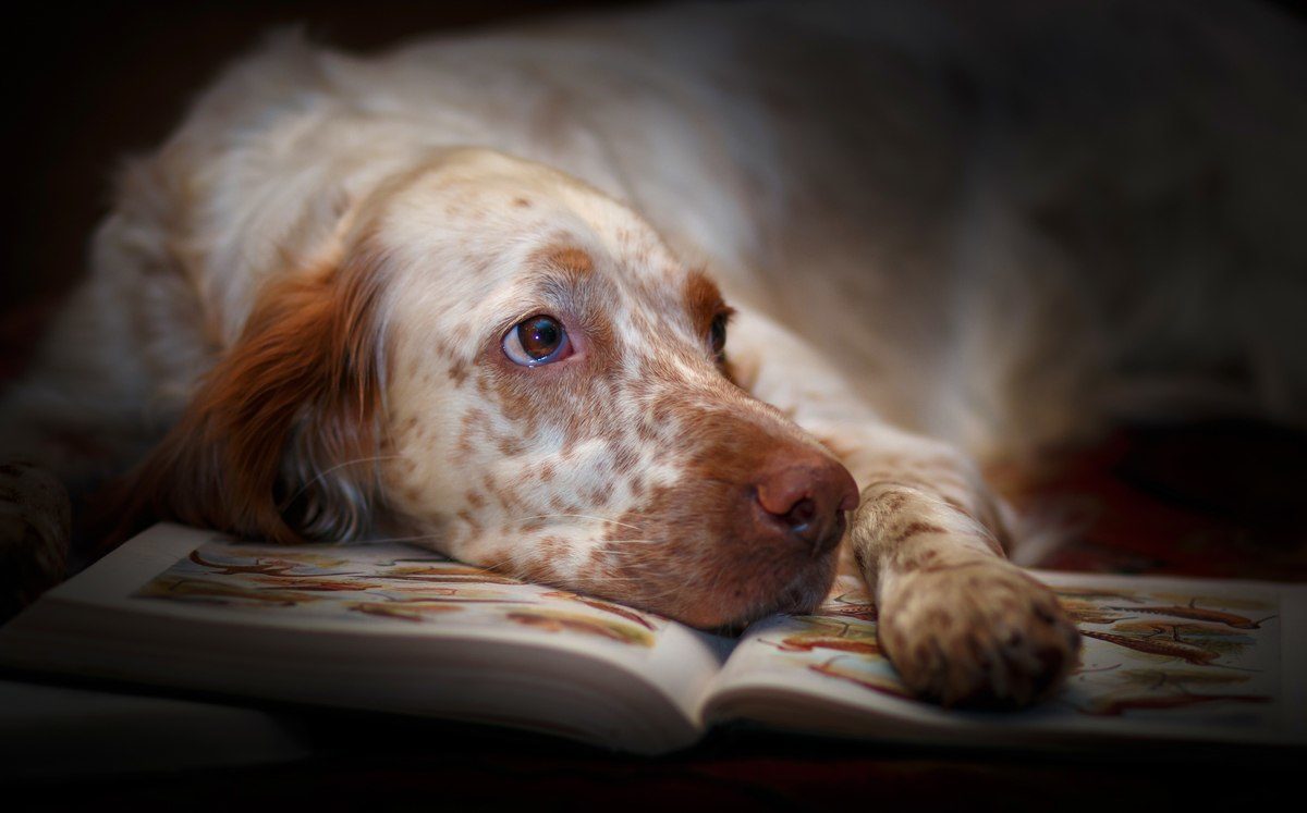 Это ж, люди, преступление